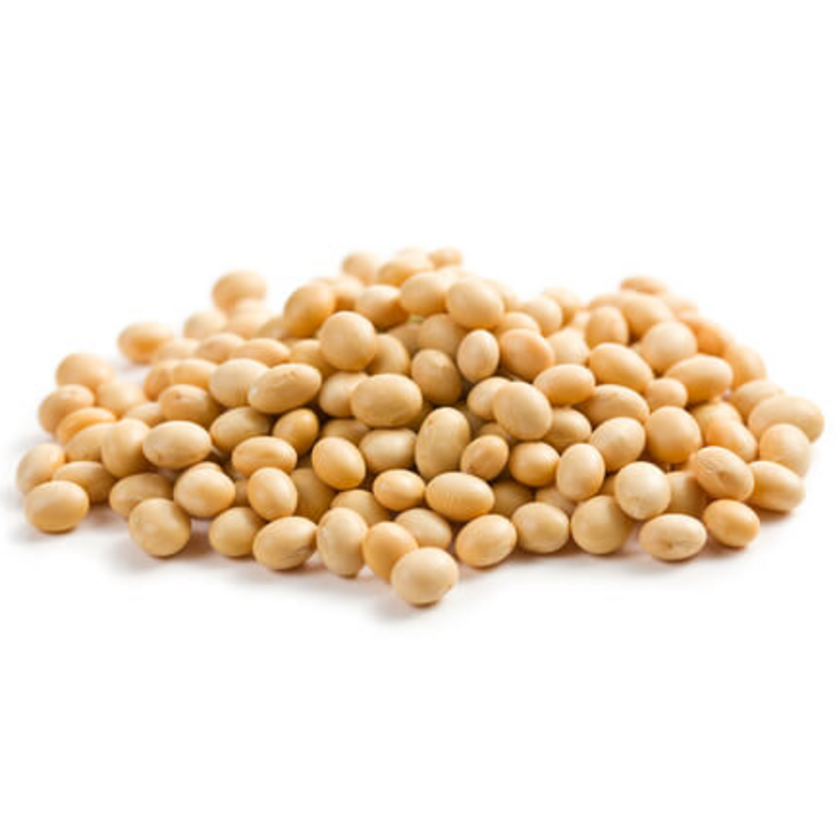 Soy Butter Butter Crafters