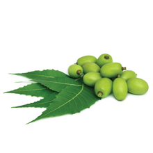Load image into Gallery viewer, Neem Oil